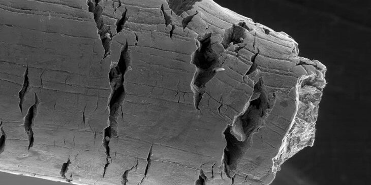 Mechanically Assisted Corrosion