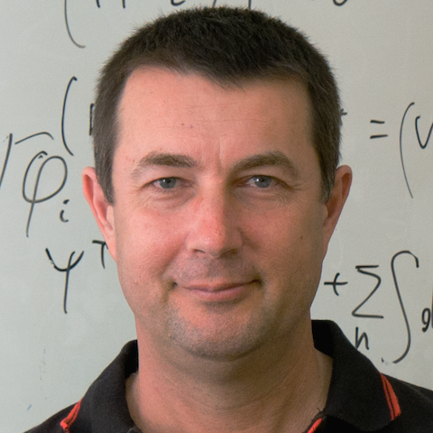 Professor Igor Bray