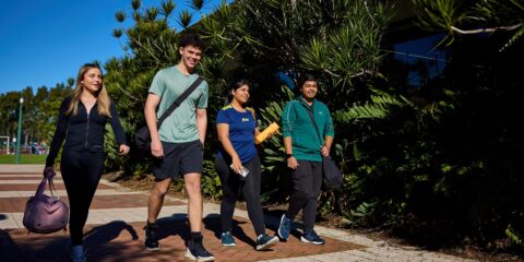 Terms and conditions