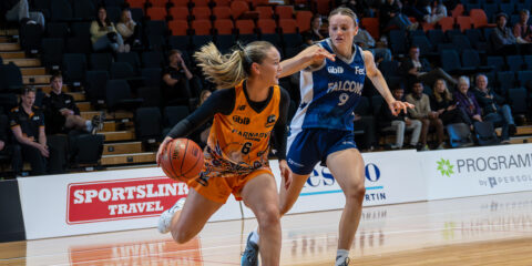 University Basketball League 