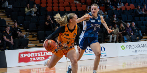 University Basketball League
