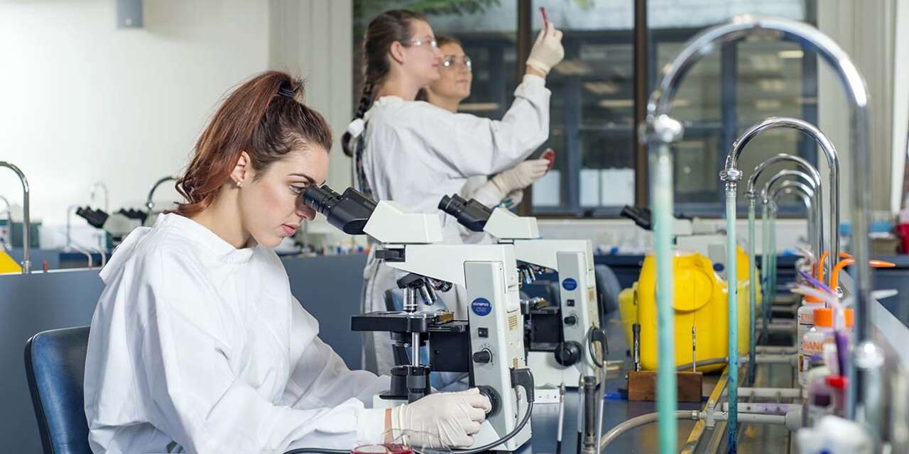 Health Sciences student, female, looking through microscope