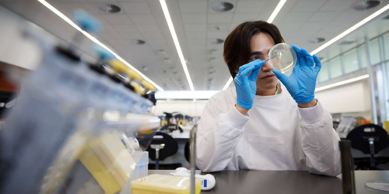 Health Sciences student, female, looking through microscope