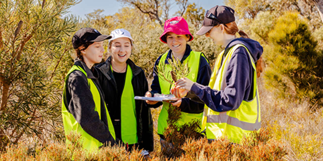Students in the field