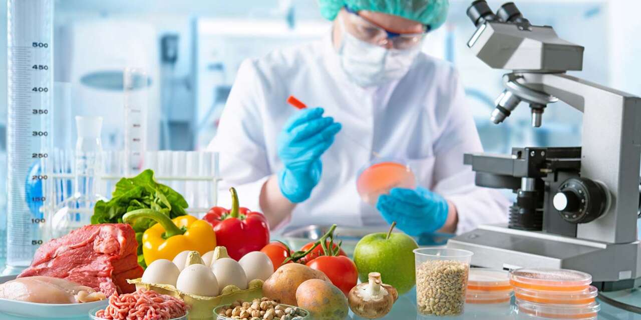 master of food science and technology