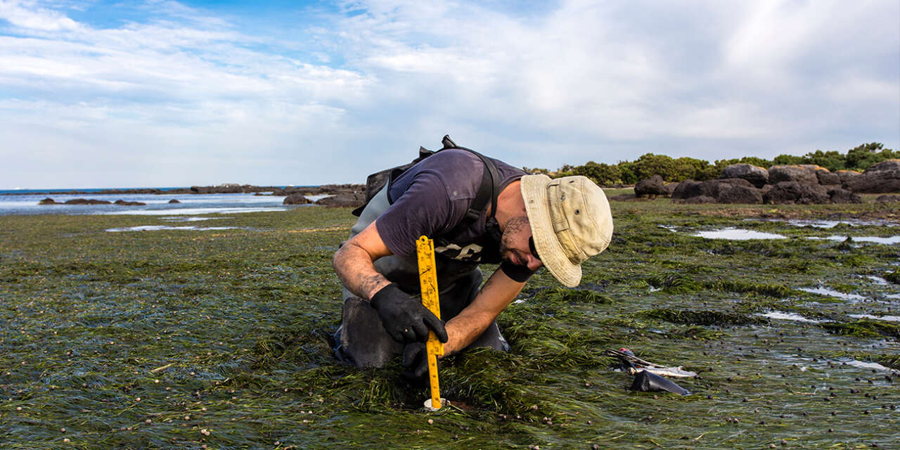 Marine scientist measuring depth
