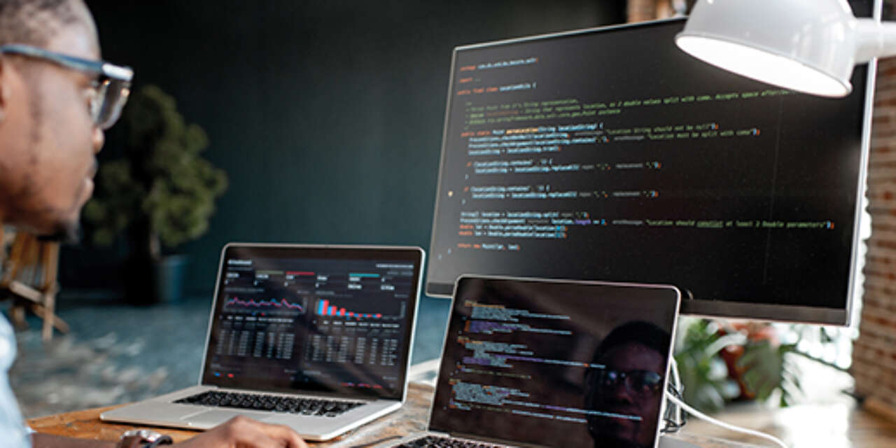 Software professional at work