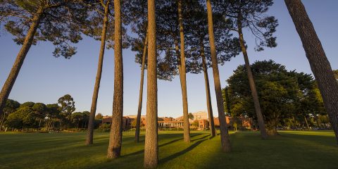 Curtin campus tours