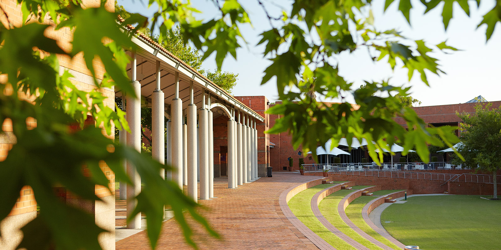 Curtin pillars with a tree in front
