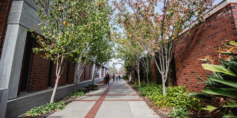 Curtin Perth campus tours