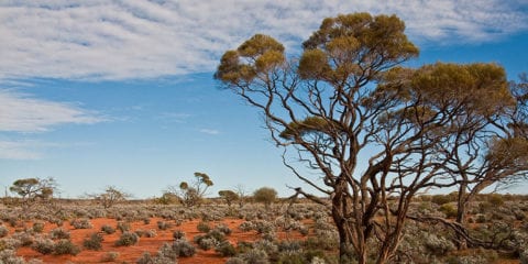 Australian outback.