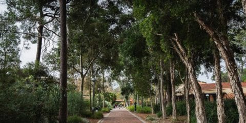 Incident on Curtin University’s Perth campus