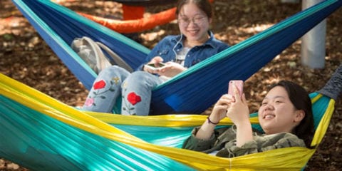 Two girls on their phone swinging on hammocks.