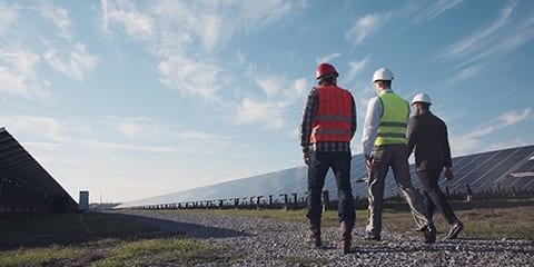 Group of engineers walking towards a solar farm.