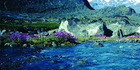 A lake in Greenland